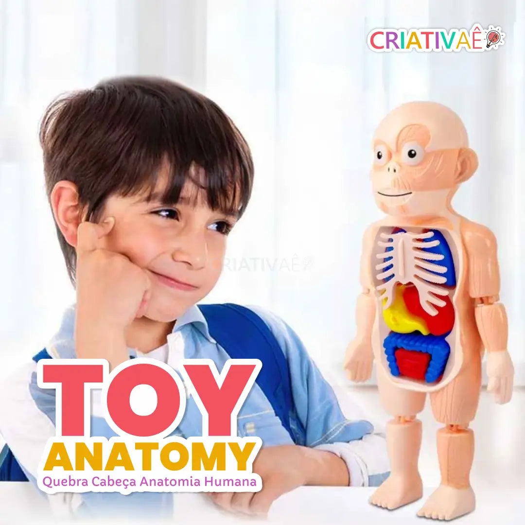 Toy Anatomy - Brinquedo Educacional de Anatomia Humana 3+ Criativaê