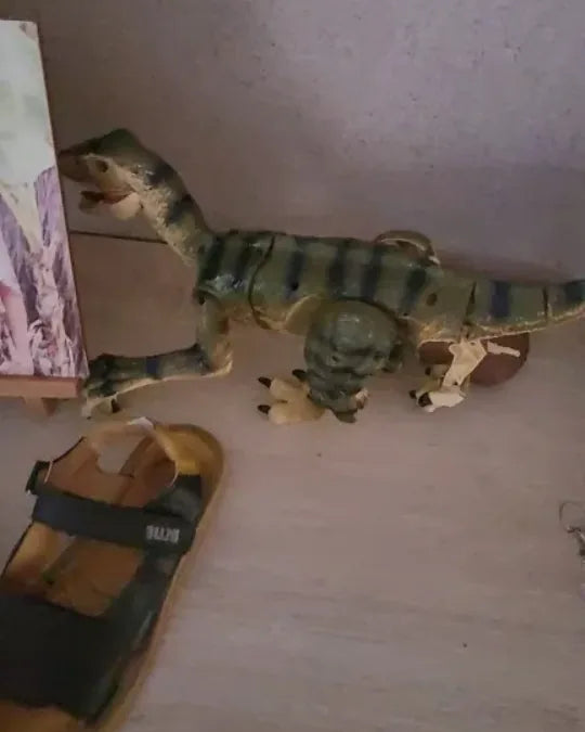 Vitrine T-RunRex Criativaê