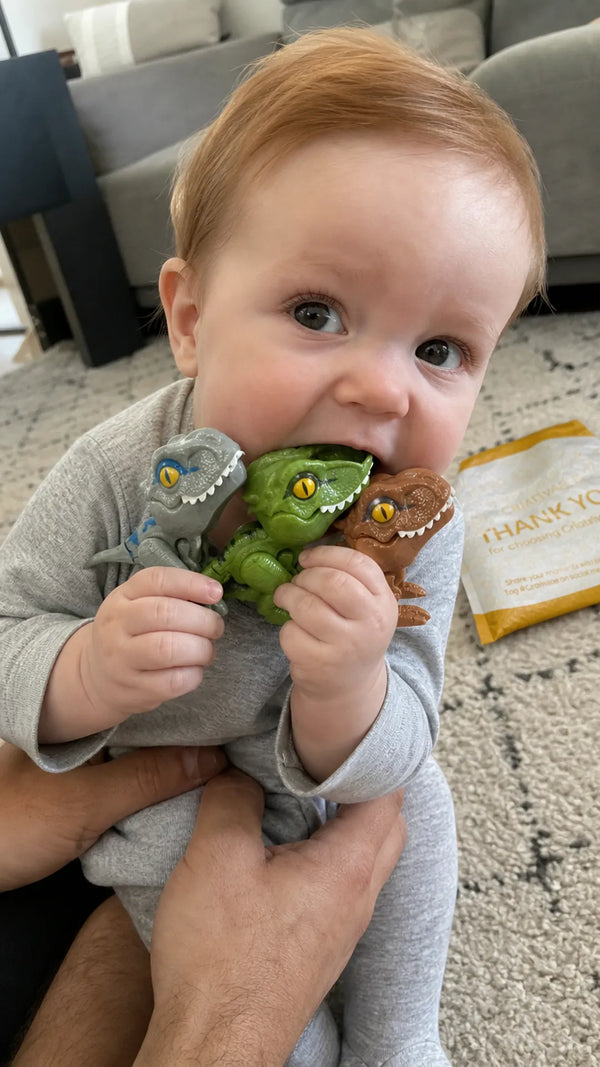 Foto de cliente: bebe com Kit Nhacssauros Premium