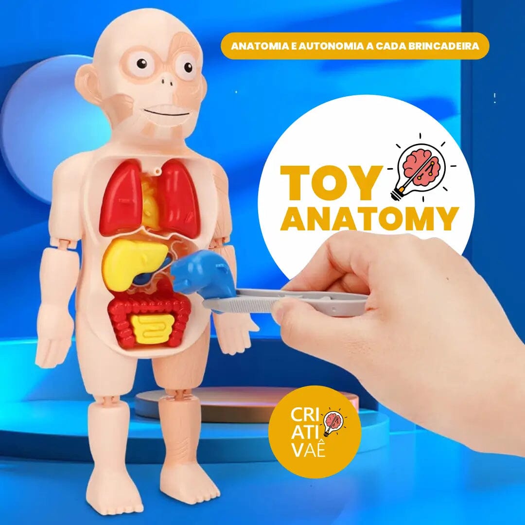 Toy Anatomy - Brinquedo Educacional de Anatomia Humana I&C 3 Criativaê