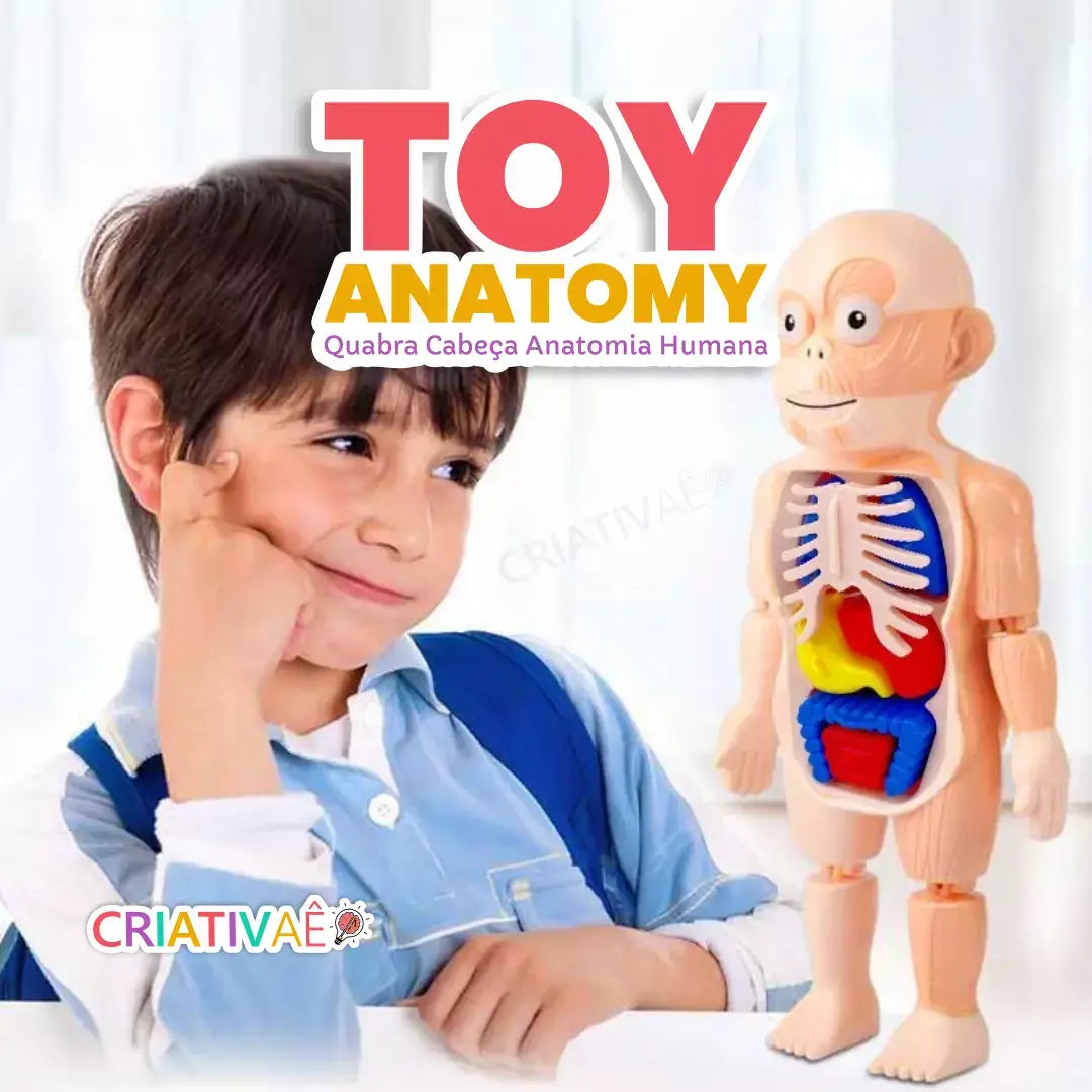 Human Toys - Brinquedo Educacional de Anatomia Humana