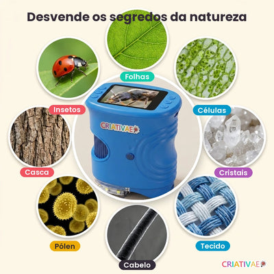 Desvende os segredos da natureza com o Micro Kids: insetos, folhas, células, cristais e mais