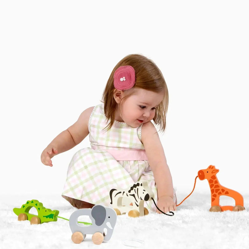 Elefante de Madeira Brinquedo Educativo para Empurrar e Puxar – Hape