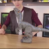 T-RunRex em ação, demonstração do mecanismo