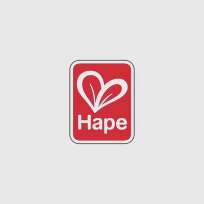Pista de Corrida de Bolinhas de Gude de Madeira DIY com Dominó e Sino | HAPE