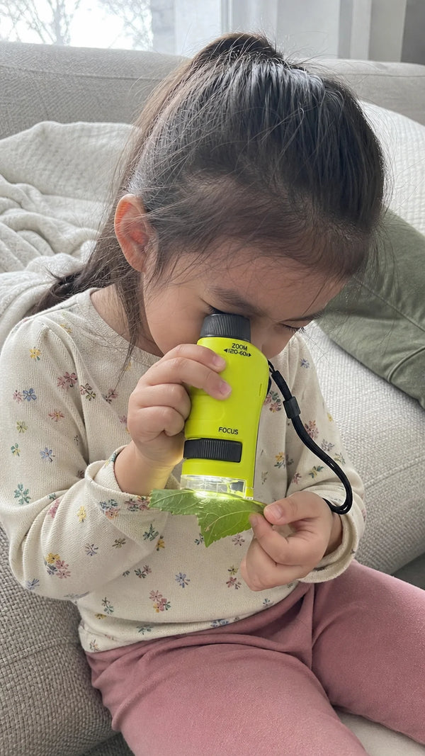 Foto de cliente: crianca com Microscopic em casa
